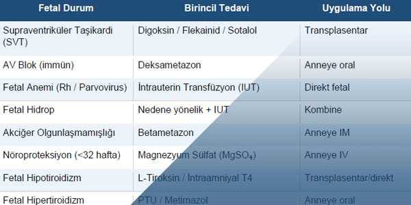 Gebelikte Bebeğe Yönelik Tedaviler