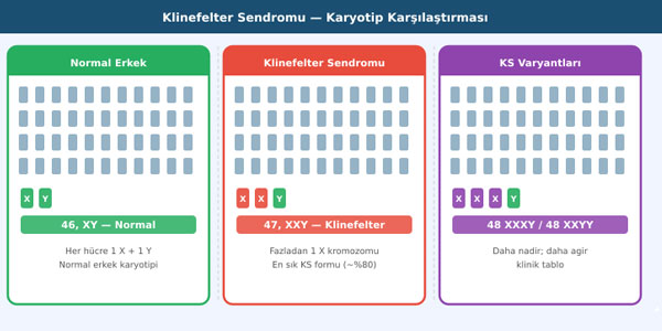 Klinefelter Sendromu: Aile Rehberi