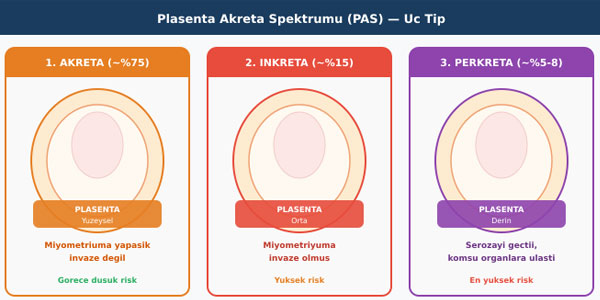 Plasenta Akreta: Aileler İçin Kapsamlı Rehber