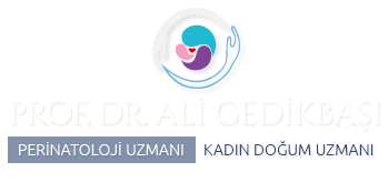 Prof. Dr. Ali Gedikbaşı | Kadın Doğum ve Perinatoloji Uzmanı
